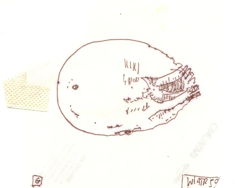 Zdzisław Wiatr, Łączka, 1990