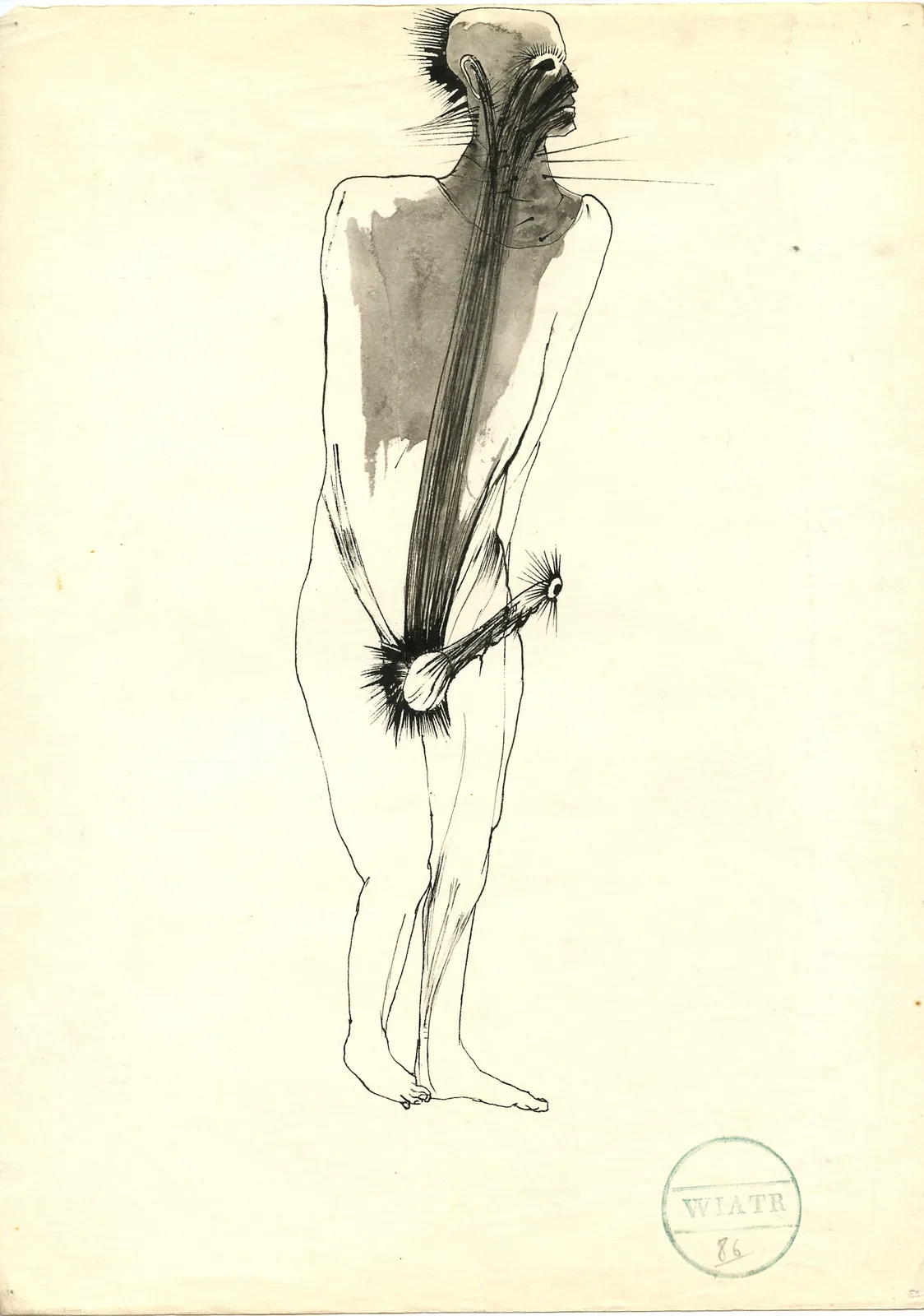 Zdzisław Wiatr, Obserwator, 1986